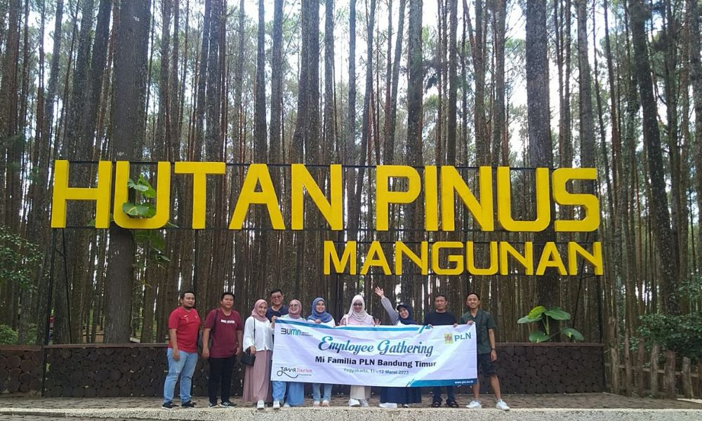 paket tour jogja 3 hari 2 malam di hutan pinus